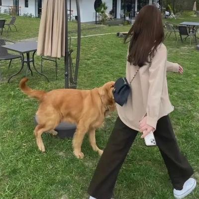 无名小子